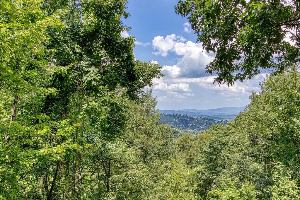 Serenity Heights, Amazing Views, Hot Tub Pool Access, 1089 Free Tickets Each Paid Day, Dollywood Gatlinburg Buitenkant foto