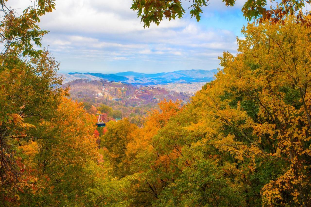 Serenity Heights, Amazing Views, Hot Tub Pool Access, 1089 Free Tickets Each Paid Day, Dollywood Gatlinburg Buitenkant foto
